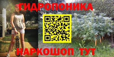 трава Боровичи