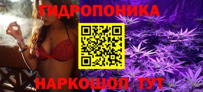 мдпв Можга