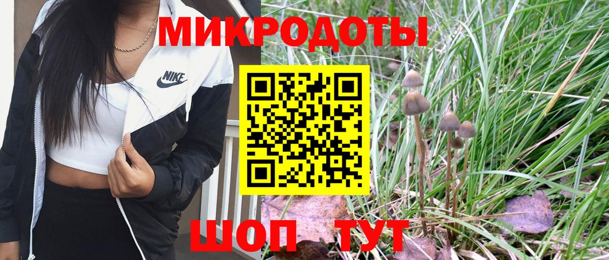 Псилоцибиновые грибы Psilocybine cubensis Вязники